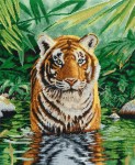 DMC_Tiger_Pool_4f1d077bc25df.jpg