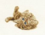 Kitten_Playing_4dd614d9c1525.jpg