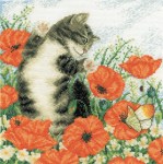 Poppy_Cat_4f1a646ddd868.jpg