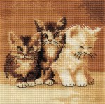 Three_Cute_Cats_4e4687ddda98c.jpg