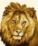 DMC_Tiger_Pool_4f1d077bc25df.jpg