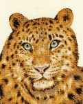 DMC_Tiger_Pool_4f1d077bc25df.jpg