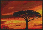 bk1721-savannah-sunset