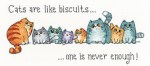 cats-and-biscuits