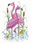 flamingos-kc